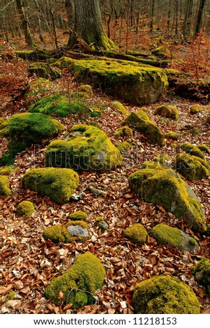 Ice Age Stones In Scandinavian Forest Stock Photo 11218153 ... Ice Age Stones In Scandinavian Forest Stock Photo 11218153 ...
