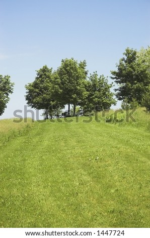 Green grass path to picnic tables under trees