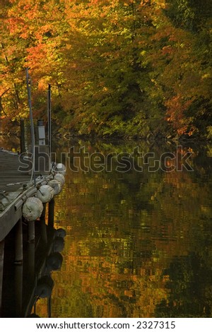 Empty marina dock along creek in fall with bright orange leaves on trees