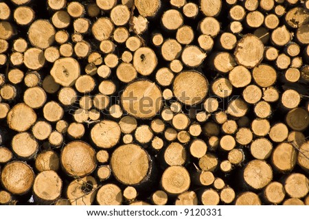 Wood log pile background