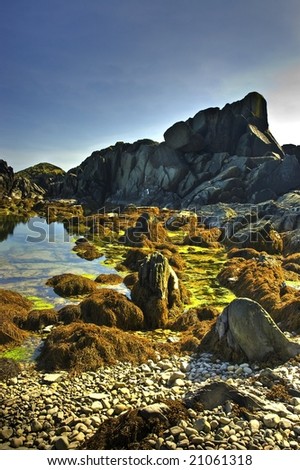 Rugged outcropping of granite rock with moss and pond in foreground (Cape Forchu, Nova Scotia)