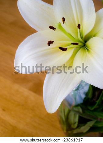 Fresh white lilies in glass vase on wooden counter top or table.