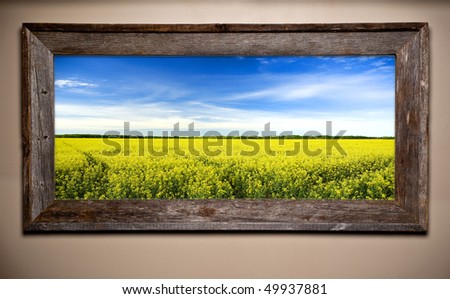 Beautiful countryside image in rustic wooden frame. Mustard field and barn wood create agricultural theme.