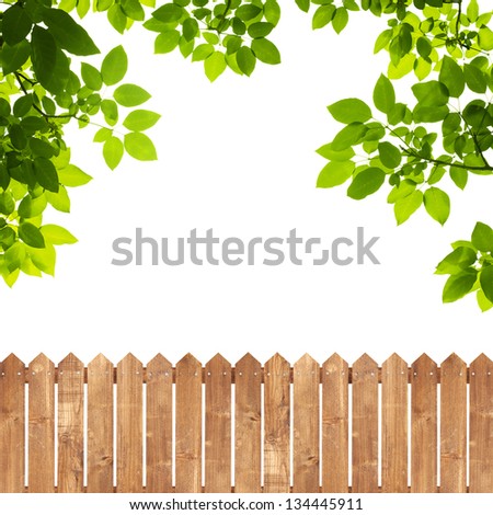 Green leaves with wood fence on white background