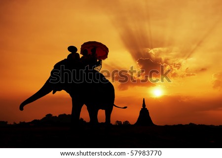 stock photo : elephant silhouette in thailand