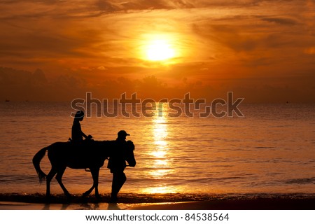 Horse and jockey walking on the beach when sunset