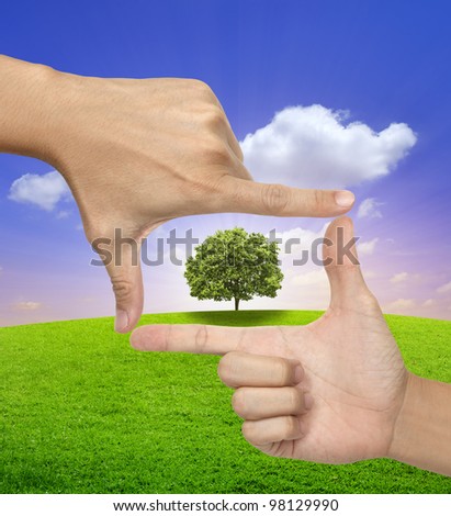 Environment Concept,a Big Tree in a frame of human hands