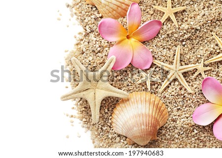 sand and seashells frame isolated on white background. summer border