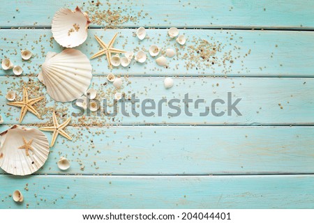 seashells frame on wooden background. nautical border