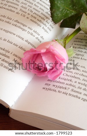 Romantic book - Close-up of romantic book, rose flower on top
