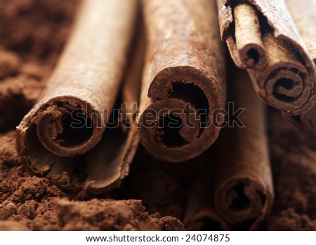 Cinnamon sticks close-up, shallow DOF