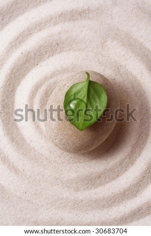 zen garden. Macro of a stone with a green leaf on raked sand