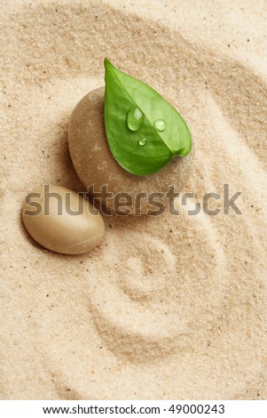 zen stone with a green leaf on raked sand