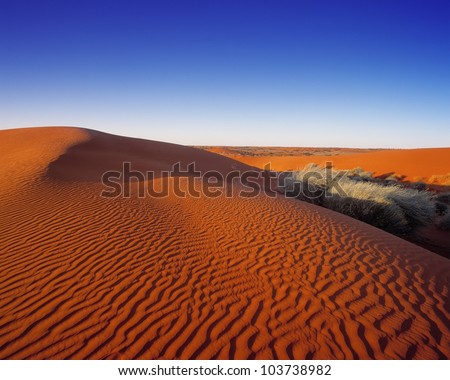 Sand Dunes, Simpson desert