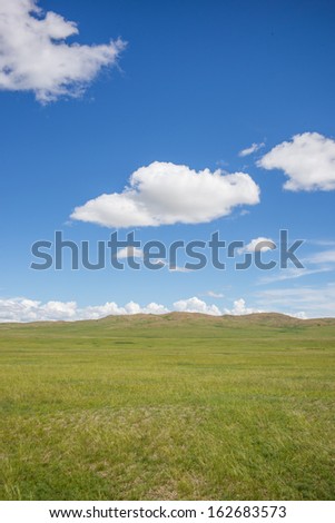 Grass plains in summer, Middle Gobi Desert