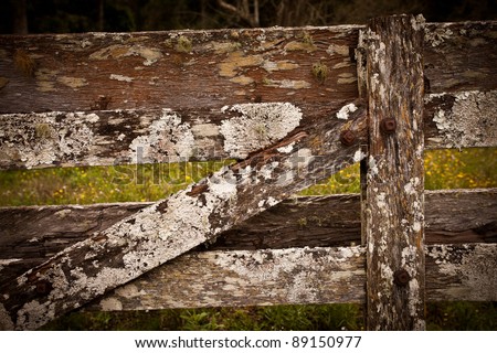 Old fence, New South Wales