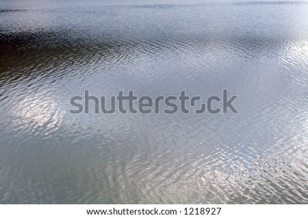 Lake surface, Batca Doamnei Lake, Romania, Europe