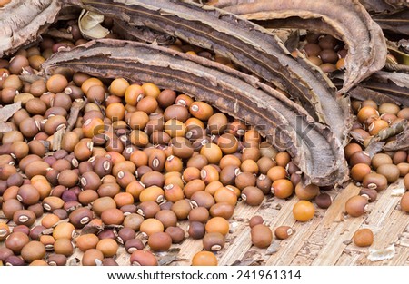 dried Winged Bean seed and bean pod on bamboo basket