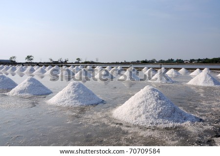 Salt fields with piled up sea salt in Thailand