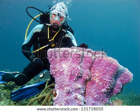 diver with big sponge