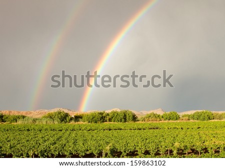 Double rainbow over vineyard in Northern Cape South Africa
