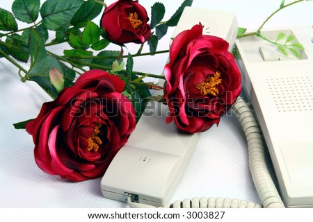 telephone and Rose