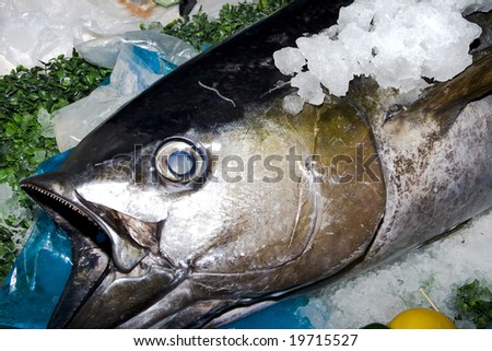 frozen fish head in a fresh fish market