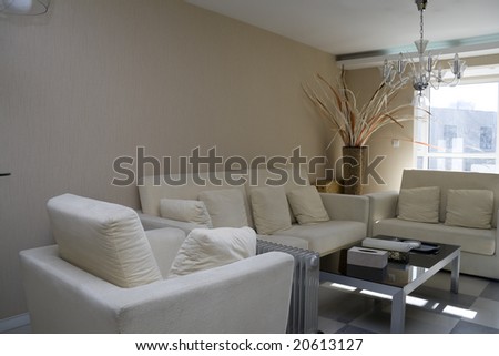 Luxury modern living room with nice sofa
