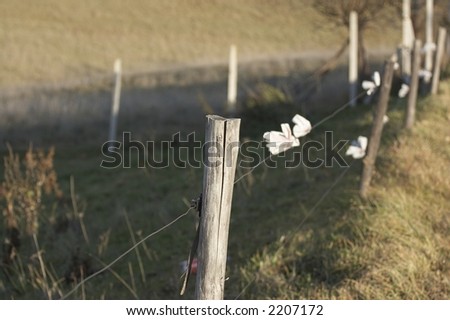 Cow fence