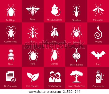 Vector icons of pest insects like flies, cockroaches, bed bugs, spiders termites and animals like bats, mice and snakes for pest control companies
