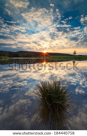 Non urban scenario with perfect sunset water reflection with colorful clouds and sun. Water with natural plant. Horizon with lonely tree.