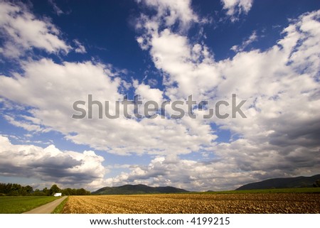 Field road with cloudy sky