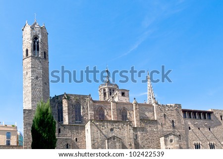walls of Gothic Cathedral of the Holy Cross and Saint Eulalia in Barcelona