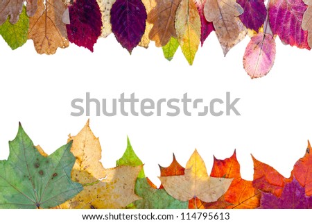two side frame from pied autumn leaves isolated on white background