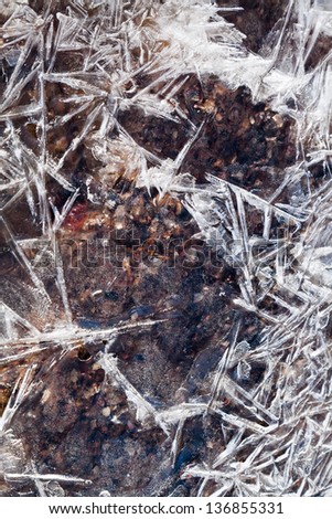 ice crystals under frozen brook in spring forest