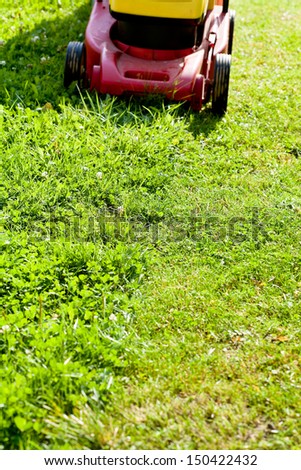 lawn mower mows grass on green lawn