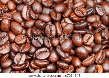 background from many light roasted coffee beans close up