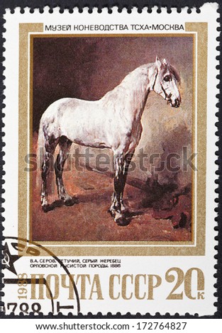 USSR - CIRCA 1988: A postage stamp printed in the USSR shows horse breed on painting - gray Orlov trotter breed horse, circa 1988