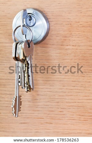 bunch of house keys in lock of wood door close up