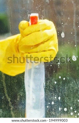 hand in rubber glove cleans window by spray glass cleaner bottle