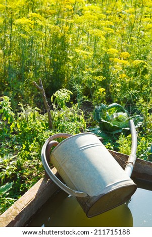 trough with water for garden watering and handshower in garden in summer day