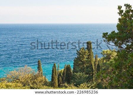view of Black Sea from Alupka (Vorontsov) garden on Southern Coast of Crimea