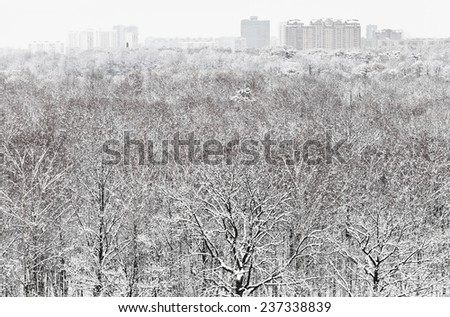 above view of snow forest and city in winter snowfall