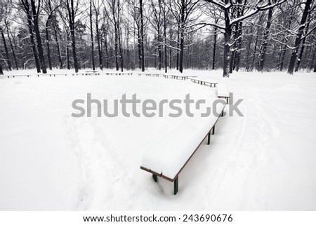 snowbound public area with benches in city park in winter