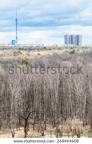 bare tree in forest and city in cold spring day