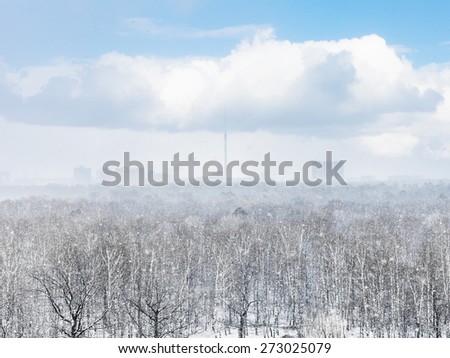 snow storm over city and forest in spring day