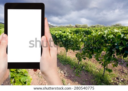 travel concept - tourist photograph vineyard on slope in Etna region, Sicily on tablet pc with cut out screen with blank place for advertising logo