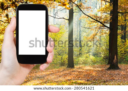 travel concept - tourist photograph autumn forest in sunny day on smartphone with cut out screen with blank place for advertising logo