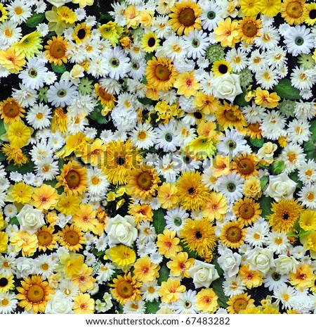 paper flowers patterns. yellow white paper flowers
