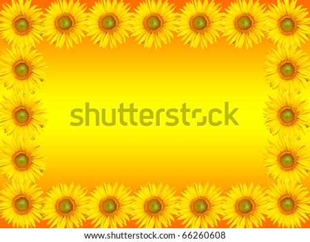 Sunflowers frame